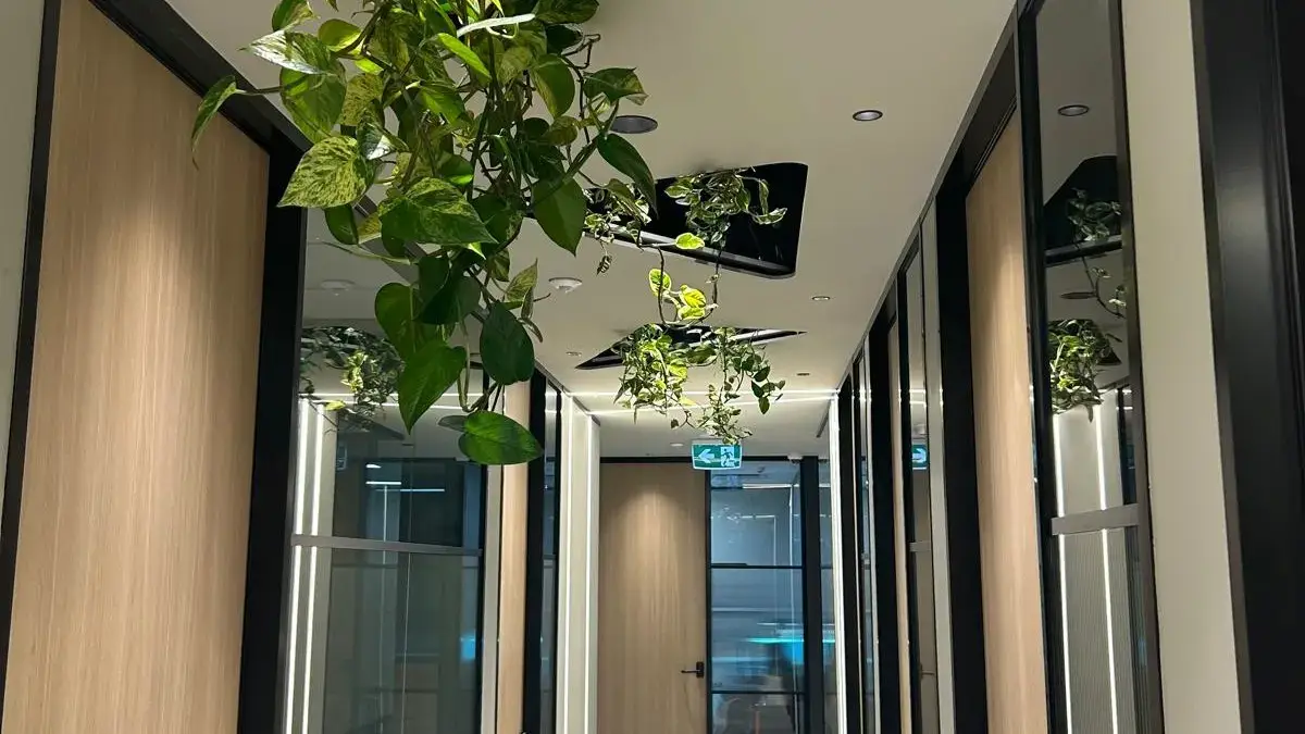 Electrician in Eight Mile Plains technology park lighting upgrade